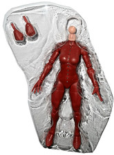 Marvel Legends PHOENIX Rachel Summers 6    Figure Body Only NO HEAD Excalibur