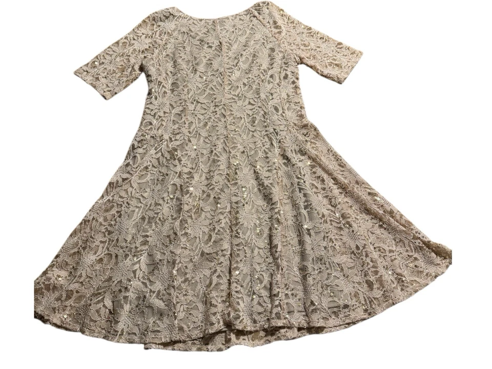 Midnight Velvet Lace Sequin Fit And Flare Dress Taupe Size 16 - Image 2 of 4