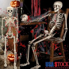 Halloween Human Skeleton Fake Skull Oversized Poseable Decoration Party Prop new