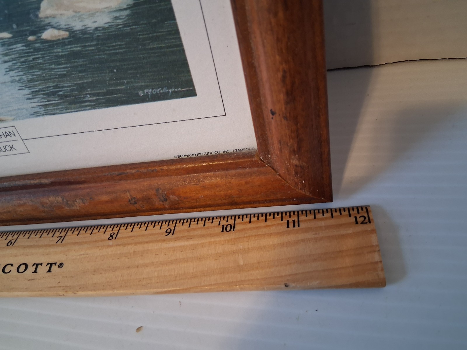 Picture 4 of 15
