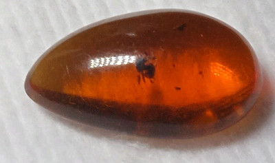 Bernstein Lab mit innenliegendem Insekt Cabochon g. 2,70 Tropfenschnitt 26x16mm Goldschmied