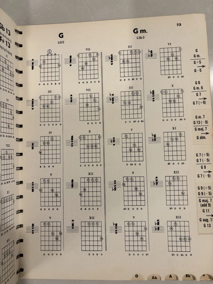 Dizionario Chitarra 2400 Posizioni Accordi di F.Chierici Vintage MCA Musica - Immagine 2 di 3