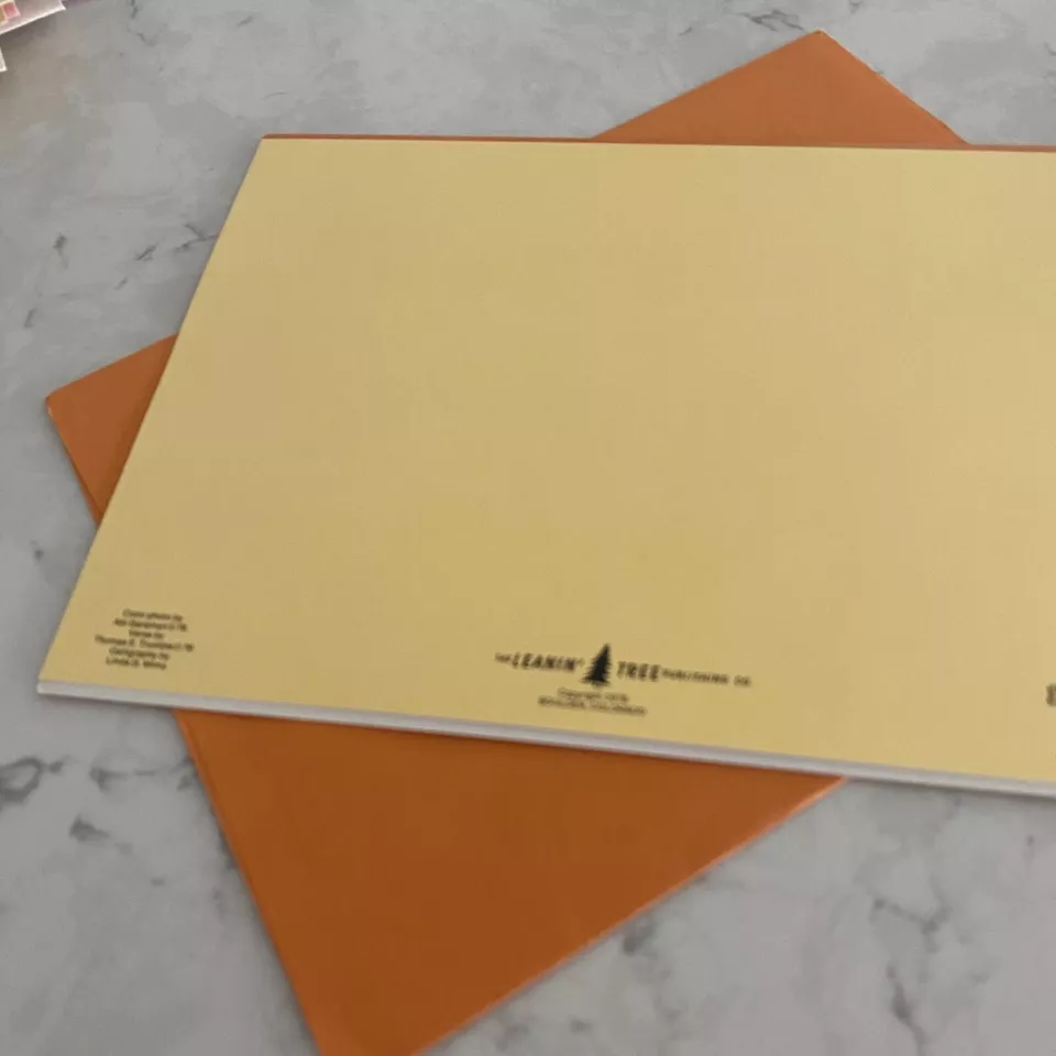 Leanin' Tree 'Freedom is the Greatest Gift' Friendship Message Greeting Card - Image 4 of 4