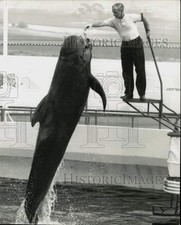 Foto de prensa 1960 Rush Lou alimentando una marsopa en Marineland - kfx23679