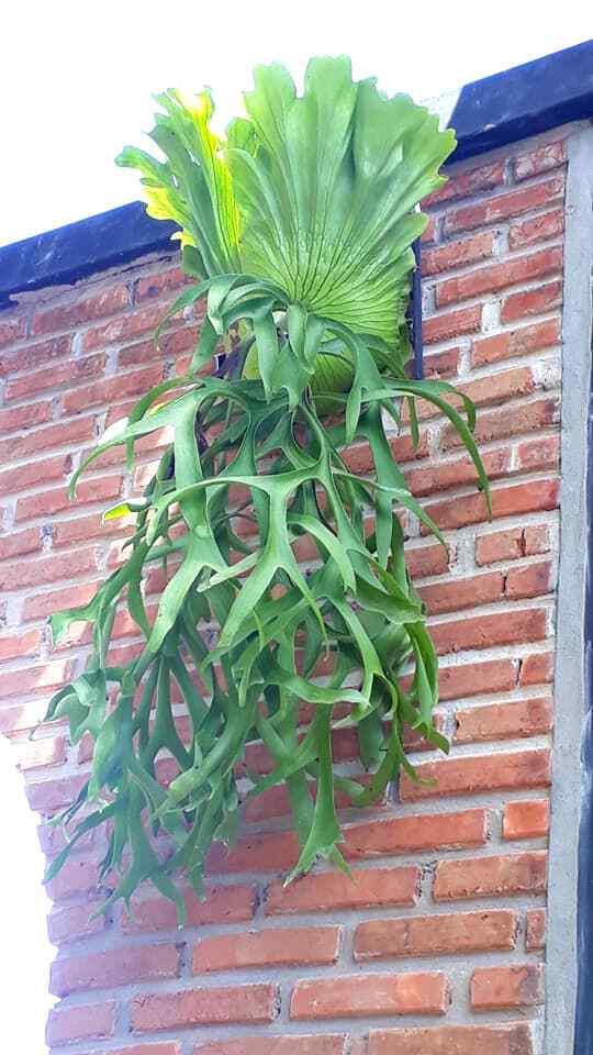 Imagen 6 de 6