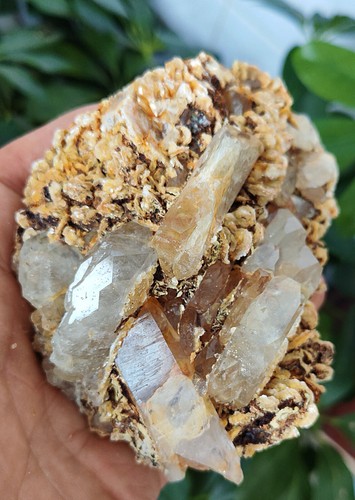 Muestra mineral de racimo de cristal de aguamarina natural y mica y esqueelita 455 g 1 - Imagen 20 de 20