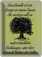 Blechschild 40X30 Cm Familie Ist Wie Zweige An Baum Spruch Zitat Deko Geschenk M