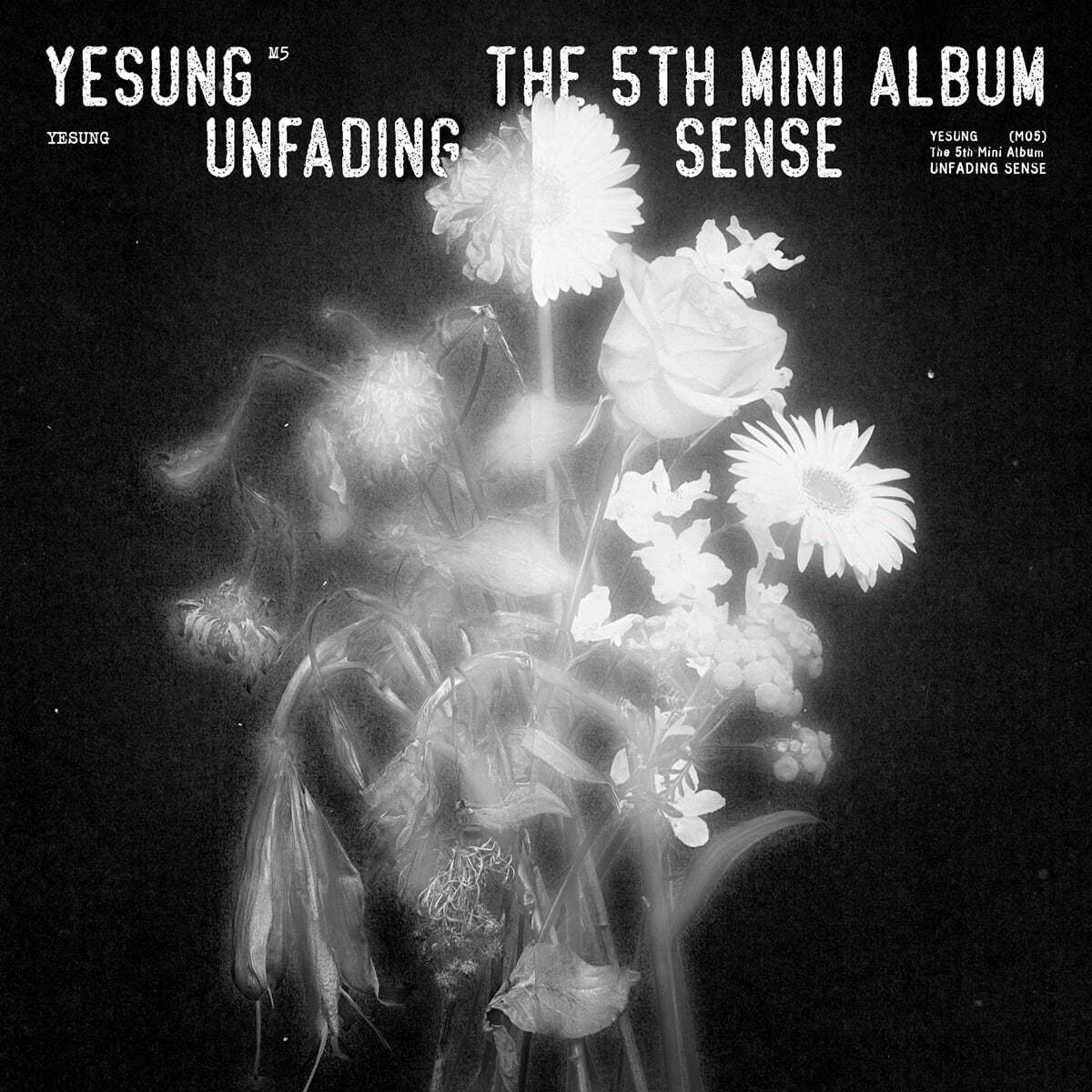 Yesung - Unfading Sense POB photocard photocard