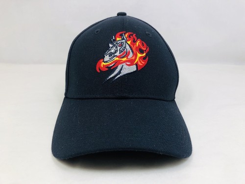 Binghamton Rumble Ponies New Era 39Thirty Marvel Flex Fitted Hat Size S/M Blue