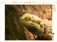 Calvendo Puzzle Bearded Dragon | 1000 Pieces, Finished Size 25.2 × 18.9 In (64 ×