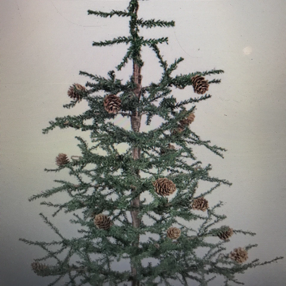 Vickerman 30" Pino Carmelo con Cono Base de Arpillera Mesa Árbol ¡Aspecto Realista! Foto 2 de 3