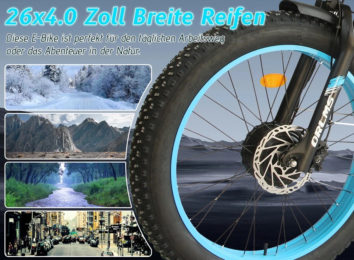 Bild 12 von 24