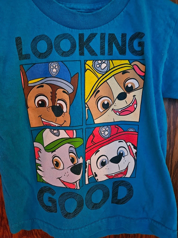 Camiseta Paw Patrol Niño Talla 4 Paw Patrol Foto 3 de 4
