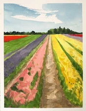 Watercolor Painting Landscape Tulip Fields Flowers Spring Farm Signed 8x10