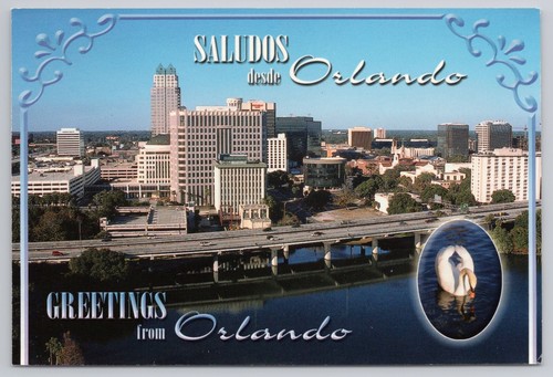 Postcard Orlando Florida The Beautiful City Swan
