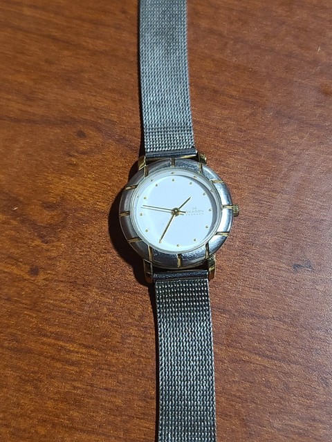 ebay skagen