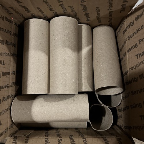 20 Empty Toilet Paper Rolls Tubes Arts & Crafts School Church VBS Project