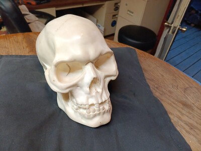 RARE-A. Santini LIFESIZE HUMAN SKULL Oxolyte Sculpture (1989 Italy)