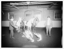 Basketball Durland's 1908: using horses c1900 Large Historic Old Photo