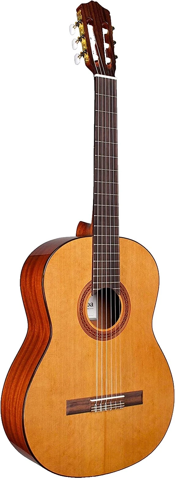 5 String Classical Guitars