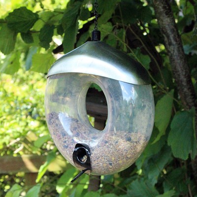 Deluxe Hanging Donut Bird Feeder Easy Fill Feed Small Garden Wild