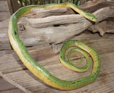 Green Mamba -52" Realistic Snake Replica - Rubber AAA