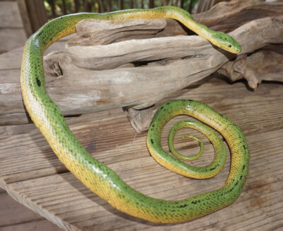 realistic snake