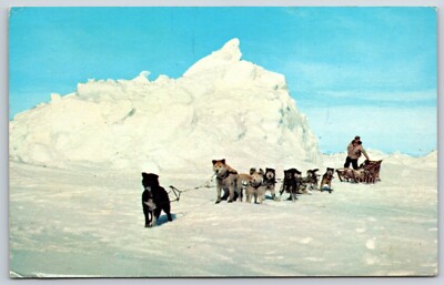 Postcard Eskimo Hunter And His Dog Team On Arctic Ice In Alaska Posted 1970