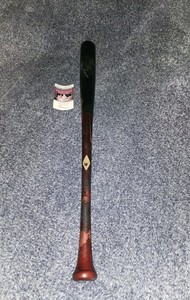 Junior Caminero Hand Signed Game-Used Old Hickory Pro Baseball Bat- Rays