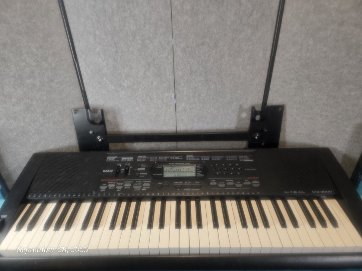 Casio CTK-3000 Keyboard for sale online