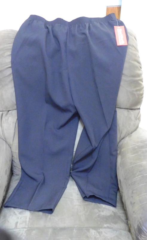 BonWorth  Slacks Womens Size PETITE LARGE - NEW