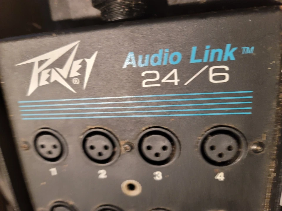 PEAVY 24 CANALES 100 PIES SERPIENTE TODO XLR ENVIAR Y RECIBIR Foto 2 de 4