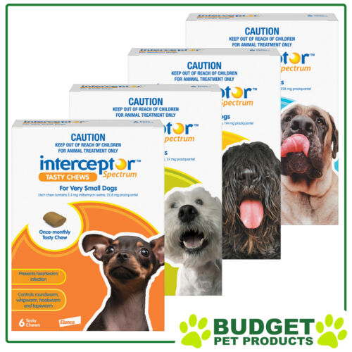 Interceptor Spectrum For Dogs 6 chews - All Sizes - Picture 1 of 5
