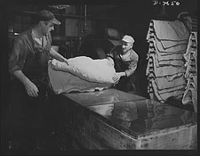 8" x 10"  1942 Photo Synthetic rubber (Ameripol).