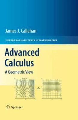 Advanced Calculus: A Geometric View - Hardcover, by Callahan James J. - Good