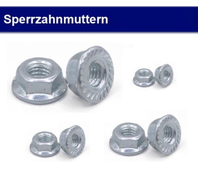 Sperrzahnmutter Flanschmutter M4 - M20  Edelstahl V2A / Stahl verzinkt - DIN6923