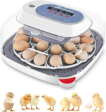 18 Eggs Incubators w/Automatic Egg Turning,Temperature Control &Humidity Control
