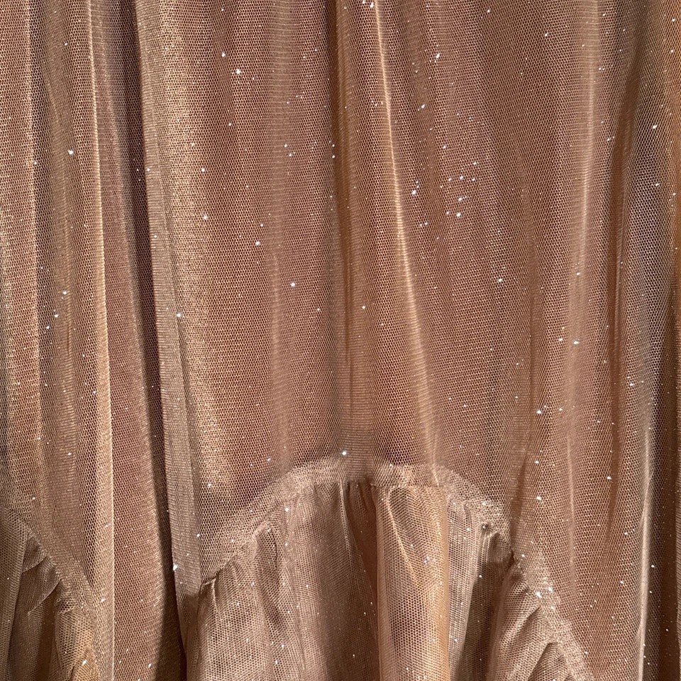 Zara новый с Ярлыками платье блестящий Роза падение талии тюль коричневый девочек 13-14 - Изображение 3 из 4