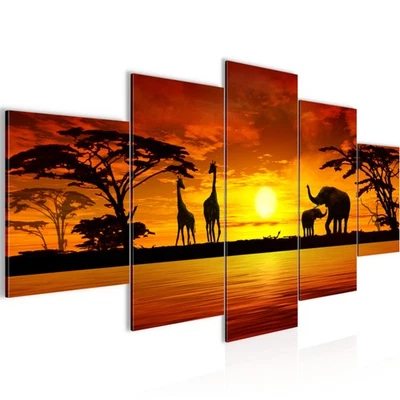 Wandbilder Wohnzimmer XXL Afrika Moderne Bilder 150 x 75 cm - Bild 1 von 4
