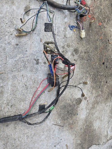 1993 Yamaha SH50 Riva Razz main wiring harness - Foto 4 di 5