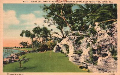 #ad Water Front Coral Reef Formation Miami Florida Vintage Postcard $6.99
