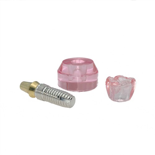 Multiple Types Dental Teeth Model Ortho Implant Practice Teaching Demo Model - Picture 13 of 276