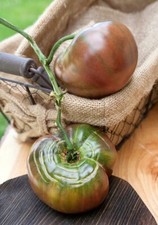 Black Krim Heirloom Tomato Premium Seed Packet  More