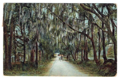 #ad Lovers Lane South Ocala Florida FL Postcard Posted 1908 Horse Buggy Germany $6.99