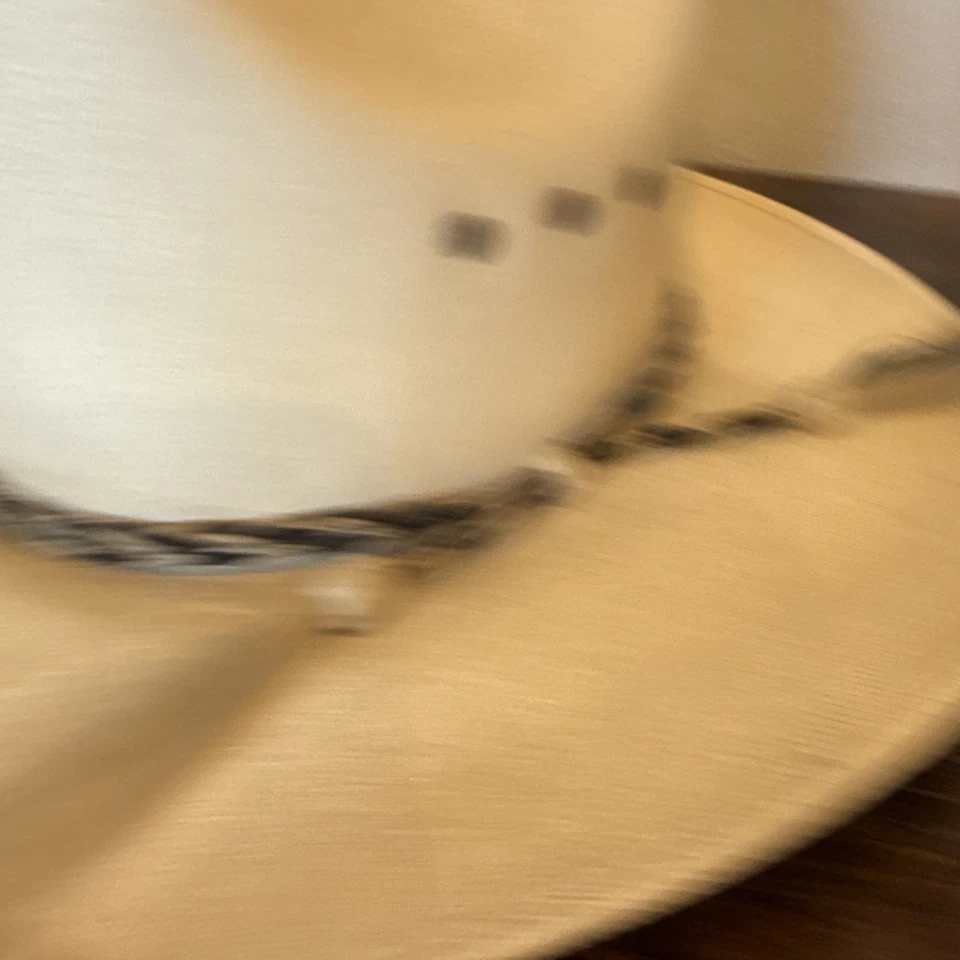 Western Express Appaloosa 草编牛仔帽 M 码墨西哥编织马发带 — 第 2/4 张图片