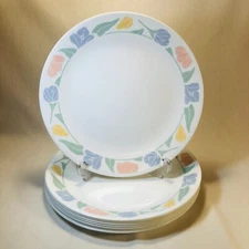 Retired Corelle Corning Friendship 10 1/4" Dinner Plate