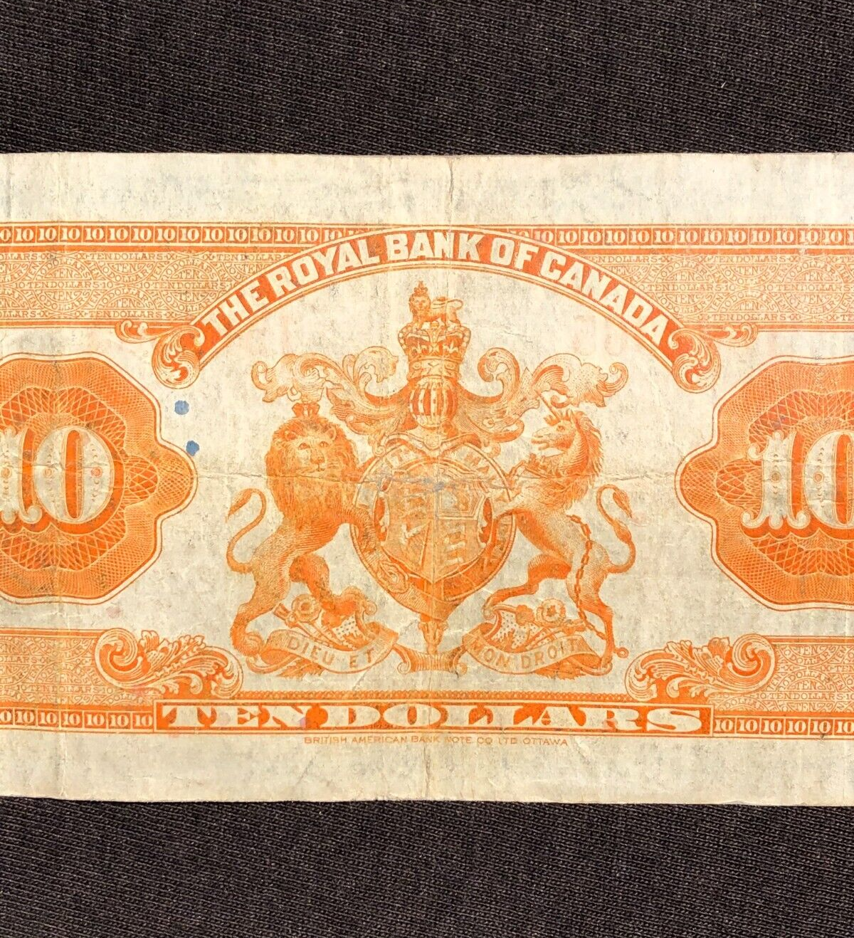 Foto 7 di 8