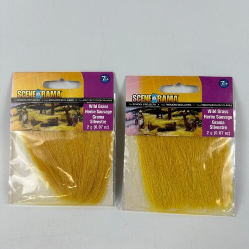 2 Pack Woodland Scenics SP4186 SceneARama Wild Grass for School Projects - 2g