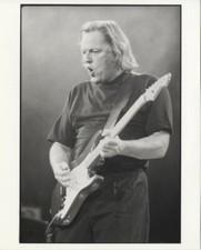 Pink Floyd Dave Gilmour playing guitar in concert Original Photo & 3x4 Negative 