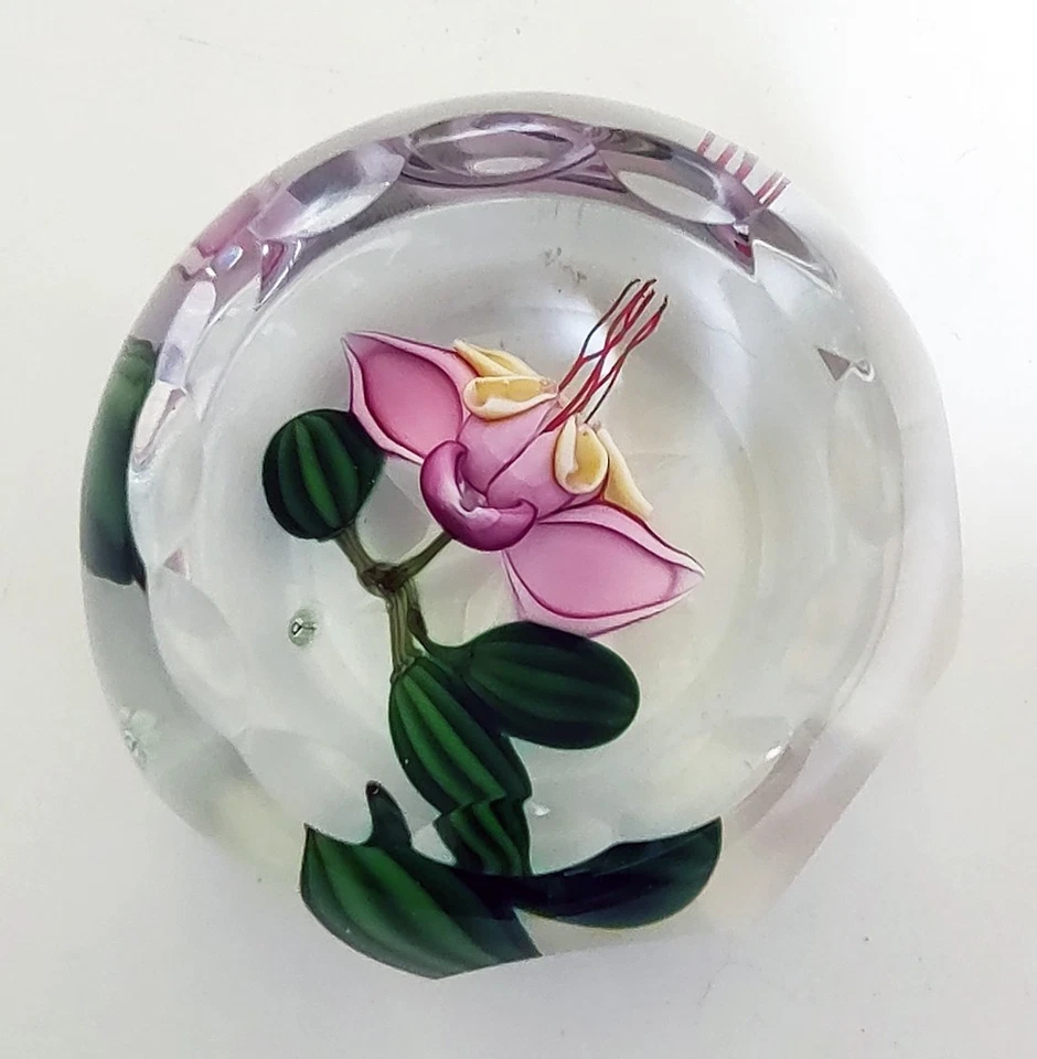 Perthshire 1987C Theobroma Cacao Flower Scallop Faceted Lampwork Paperweight - Image 3 of 4